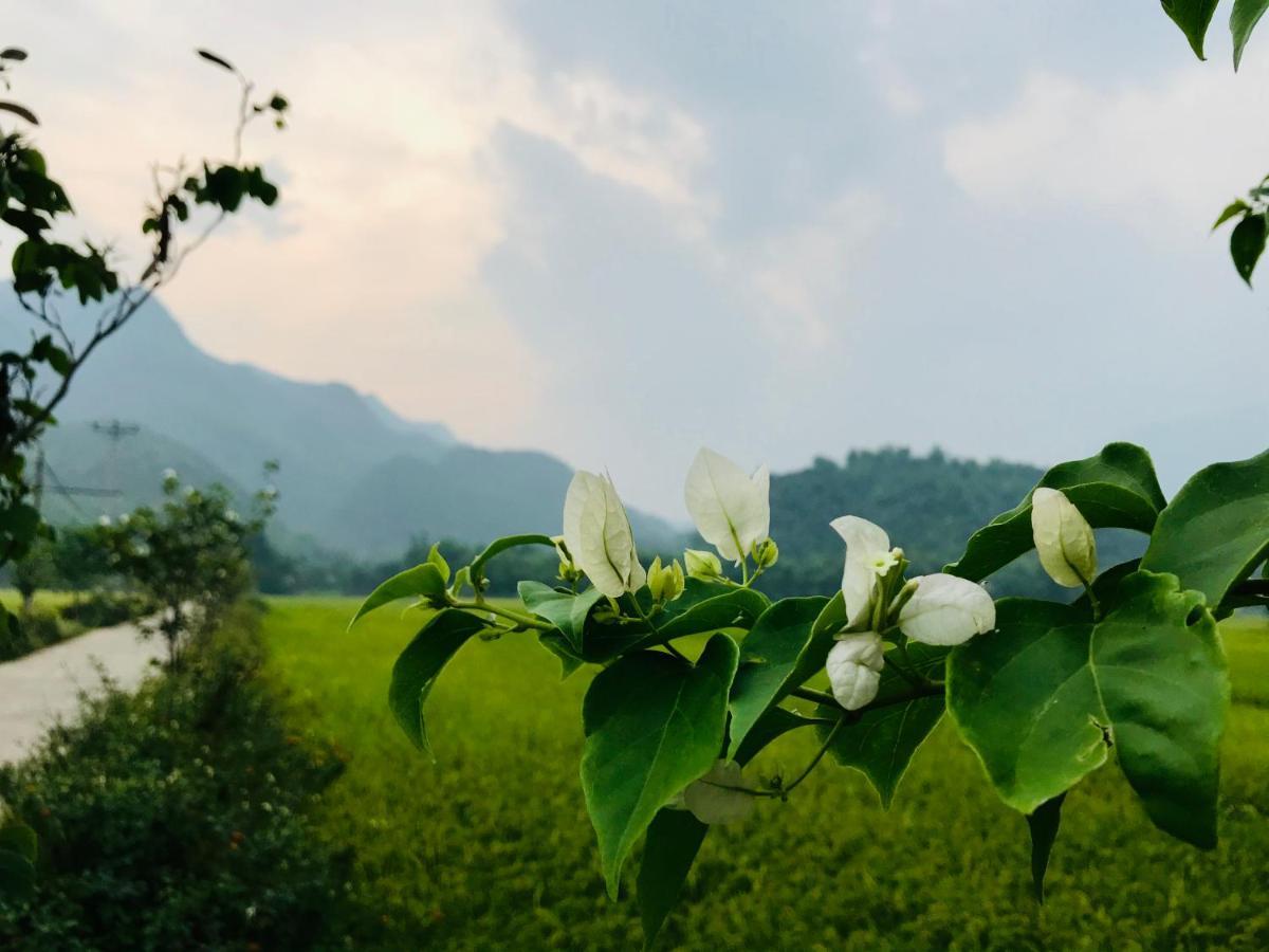 Готель Jomo House Mai Chau Hoa Binh Екстер'єр фото